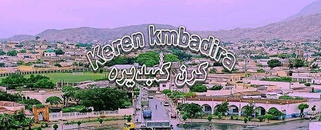 شعار - الجروب كرن كمبديرة 